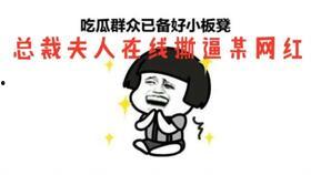 吃瓜总裁夫人,揭秘吃瓜总裁夫人的豪门生活