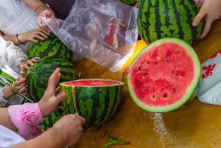 恶心的吃瓜视频