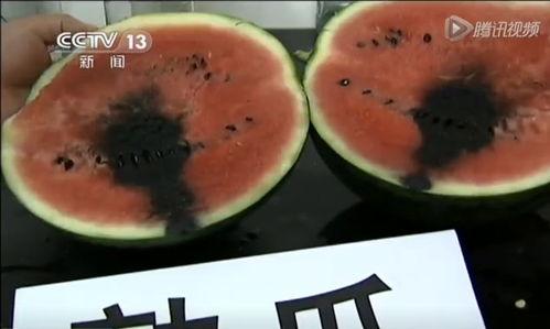 恶心的吃瓜视频