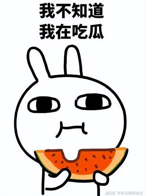 涂千千吃瓜,揭秘娱乐圈幕后故事