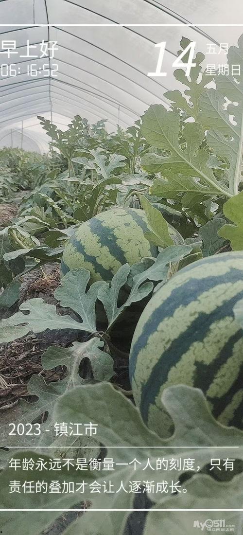 南阳师院今天吃瓜,校园热闻一网打尽