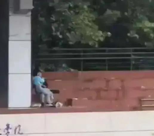 学校吃瓜事件视频,视频揭露惊人内幕