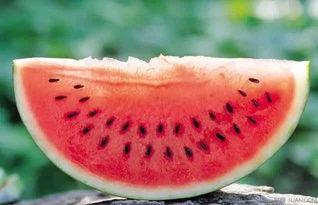 什么叫做吃瓜落,网络热词背后的文化现象