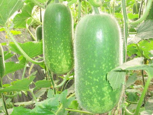 医卫吃瓜,揭秘医疗行业的“幕后故事”