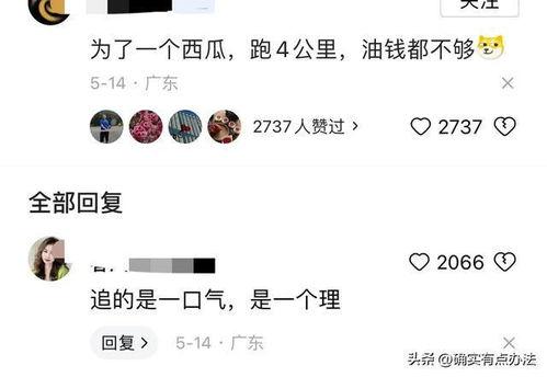 吃瓜逃单,揭秘餐厅“瓜农”的无奈与对策