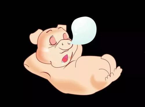 怎么让小胖吃瓜,轻松开启健康美味新体验