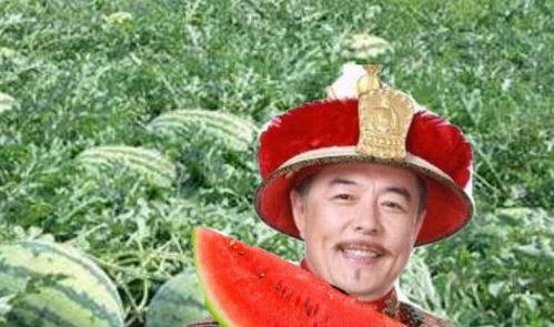 皇上吃瓜处死瓜农,从“皇上吃瓜”到“瓜农被处死”的宫廷风云