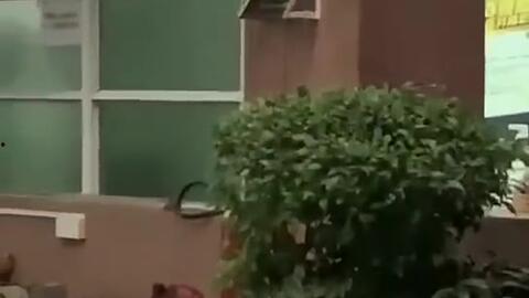 正常人吃瓜和传媒人吃瓜,普通人吃瓜与传媒人嚼瓜的异同解析