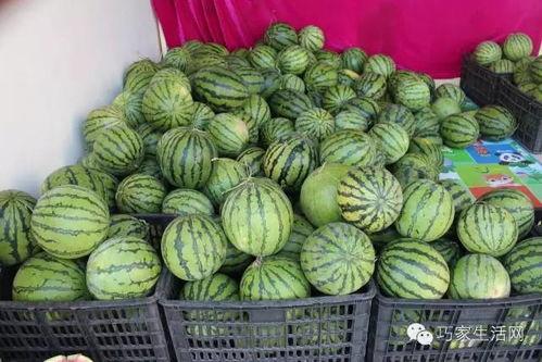 吃瓜小杨巧家,吃瓜小杨探秘巧家美食之旅