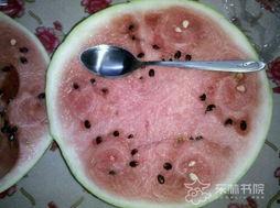 跳塘吃瓜,揭秘网络热词背后的趣味与思考