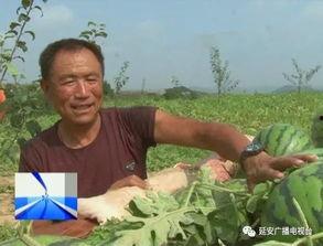 吃瓜群众求助渠道,轻松解决生活难题