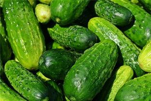 梦见瓜中吃,瓜中寻味，揭秘梦境中的瓜果之谜