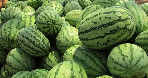 梦见瓜中吃,瓜中寻味，揭秘梦境中的瓜果之谜