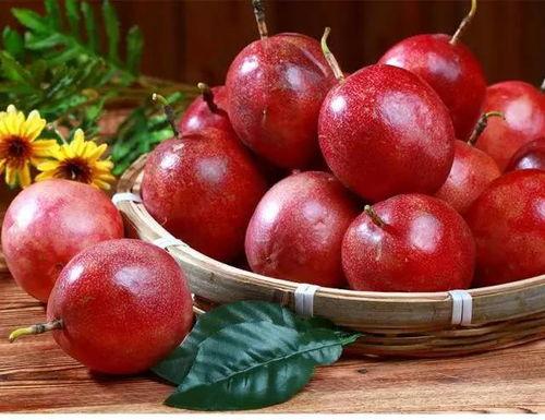 萝卜夏吃瓜好吗,夏日萝卜与瓜果的完美搭配