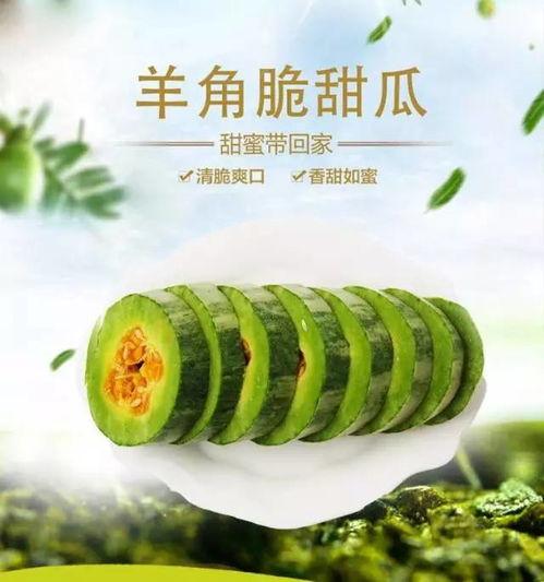 萝卜夏吃瓜好吗,夏日萝卜与瓜果的完美搭配