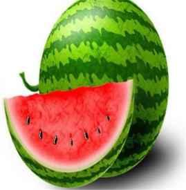 吃胖子瓜,网络热议背后的真相与反思