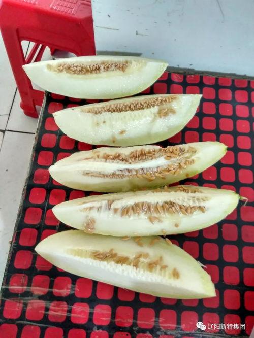 888区吃瓜,揭秘网络“吃瓜”文化的狂欢盛宴