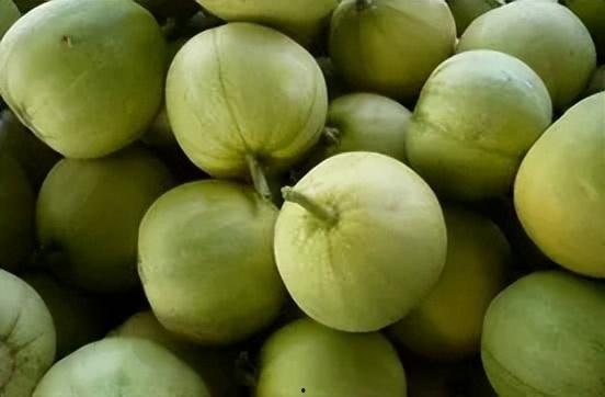 做梦在香瓜地吃瓜,一场甜蜜的瓜果盛宴