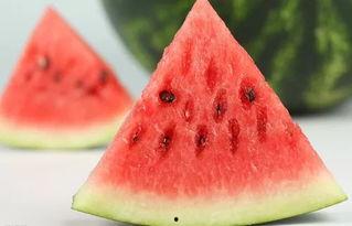 假西瓜吃瓜,揭秘网络迷思背后的真实世界