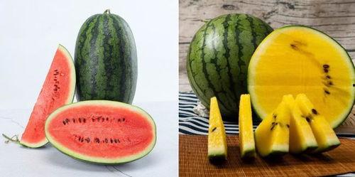 468页 吃瓜,从468页洞察社会众生相