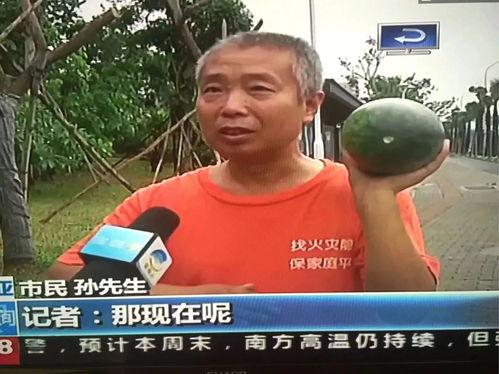 健身的吃瓜事件,揭秘健身达人饮食真相