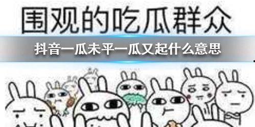 抖音tv吃瓜,揭秘娱乐圈吃瓜盛宴，带你领略明星幕后故事