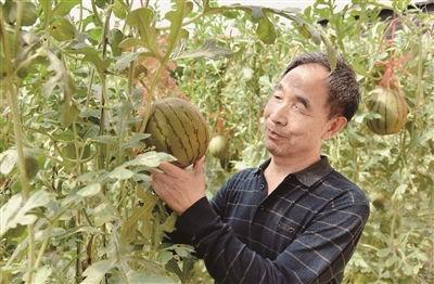 科技公司吃瓜,行业风云录