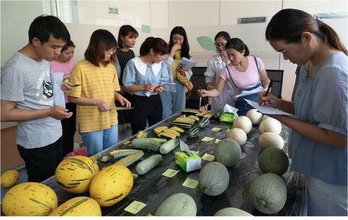 科技公司吃瓜,行业风云录