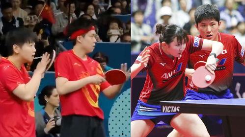 两小只吃瓜擦球拍,揭秘网球场上的趣味瞬间