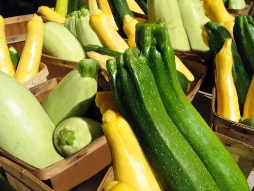 带你吃瓜串烧,揭秘带你吃瓜串烧的独特魅力