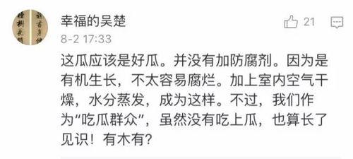 吃瓜摆烂有声小说,有声小说中的另类人生画卷