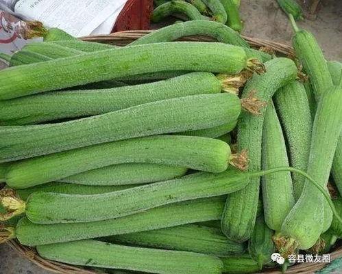 不喜欢吃瓜喜欢吃,揭秘我的独特美食偏好