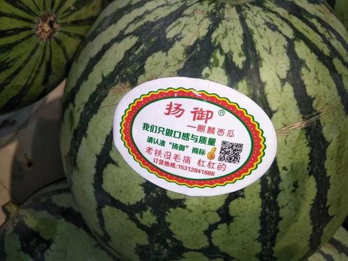 吃瓜剧情主题,揭秘娱乐圈那些不为人知的幕后故事