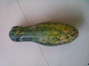 谢瓜怎么吃,解锁美味新体验