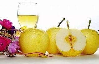 吃瓜的梨蕾,探寻夏日消暑美食之旅