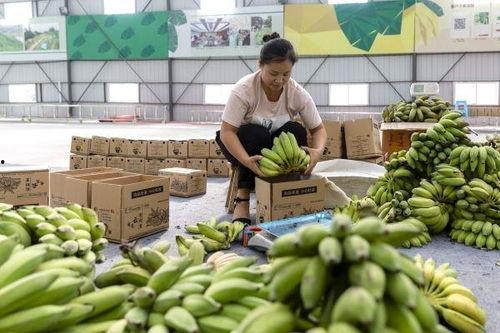 册亨县吃瓜,探寻当地特色美食之旅