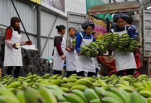 册亨县吃瓜,探寻当地特色美食之旅