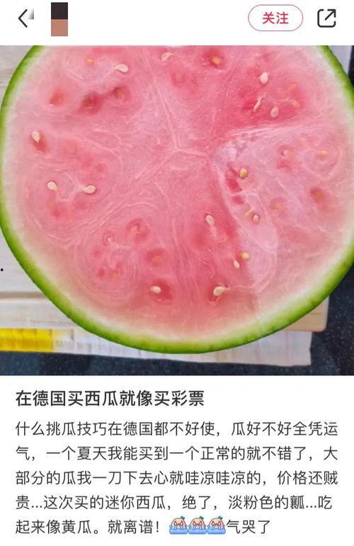 老外吃石头瓜,老外挑战吃石头瓜的奇特体验