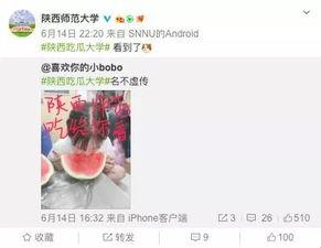 各大学吃瓜网站,校园热点一网打尽