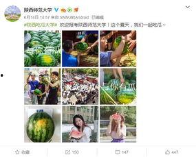 各大学吃瓜网站,校园热点一网打尽