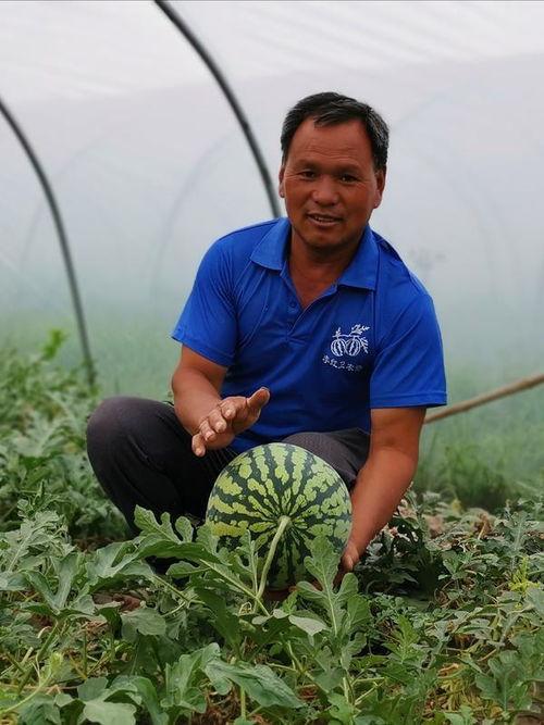 近期吃瓜事件河南