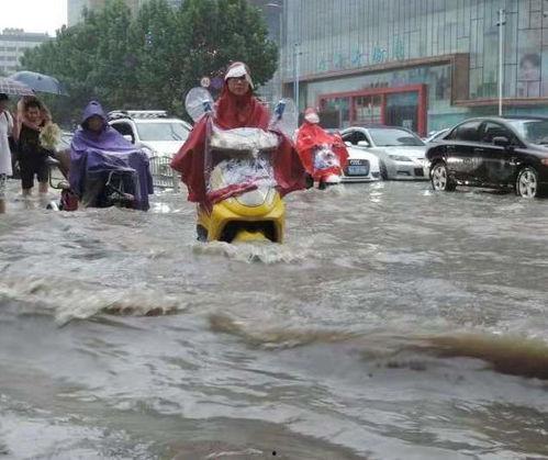 近期吃瓜事件河南