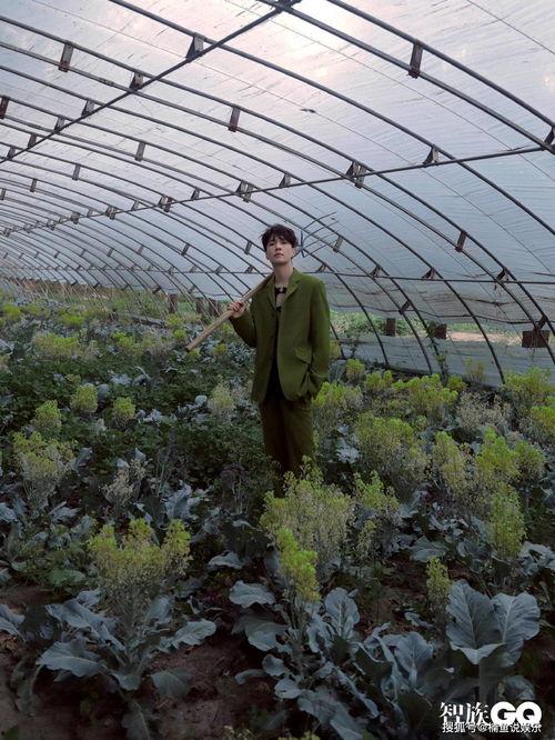 慵懒吃瓜,轻松享受夏日休闲时光