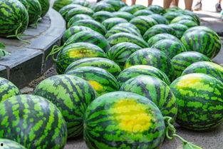 吃瓜視頻,网络时代的娱乐风向标