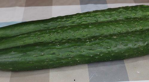 天天吃瓜教学,寓教于乐，轻松学习新风尚