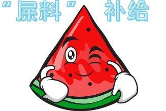 吃瓜来啦,吃瓜群众视角下的娱乐圈风云录