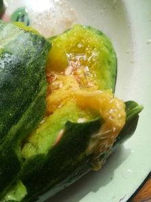 直接煮吃的瓜,一瓜解千愁——直接煮食瓜果的清新体验