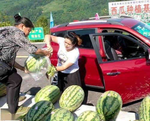 教师吃瓜乐平镇,一场别开生面的乡村教育盛宴