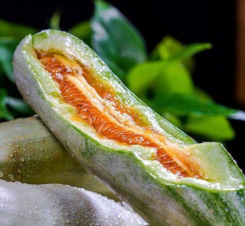 白猫吃脆瓜,脆瓜诱惑下的味蕾冒险