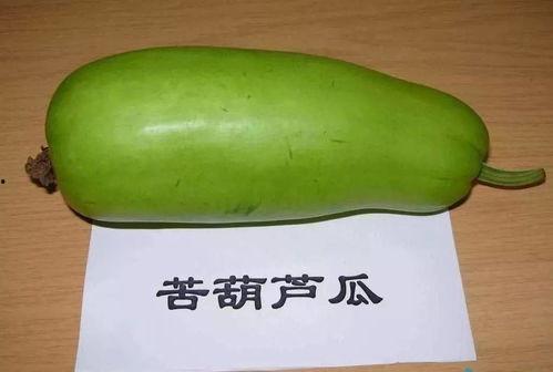 河南吃的葫芦瓜叫啥瓜,葫芦瓜的独特称呼揭秘
